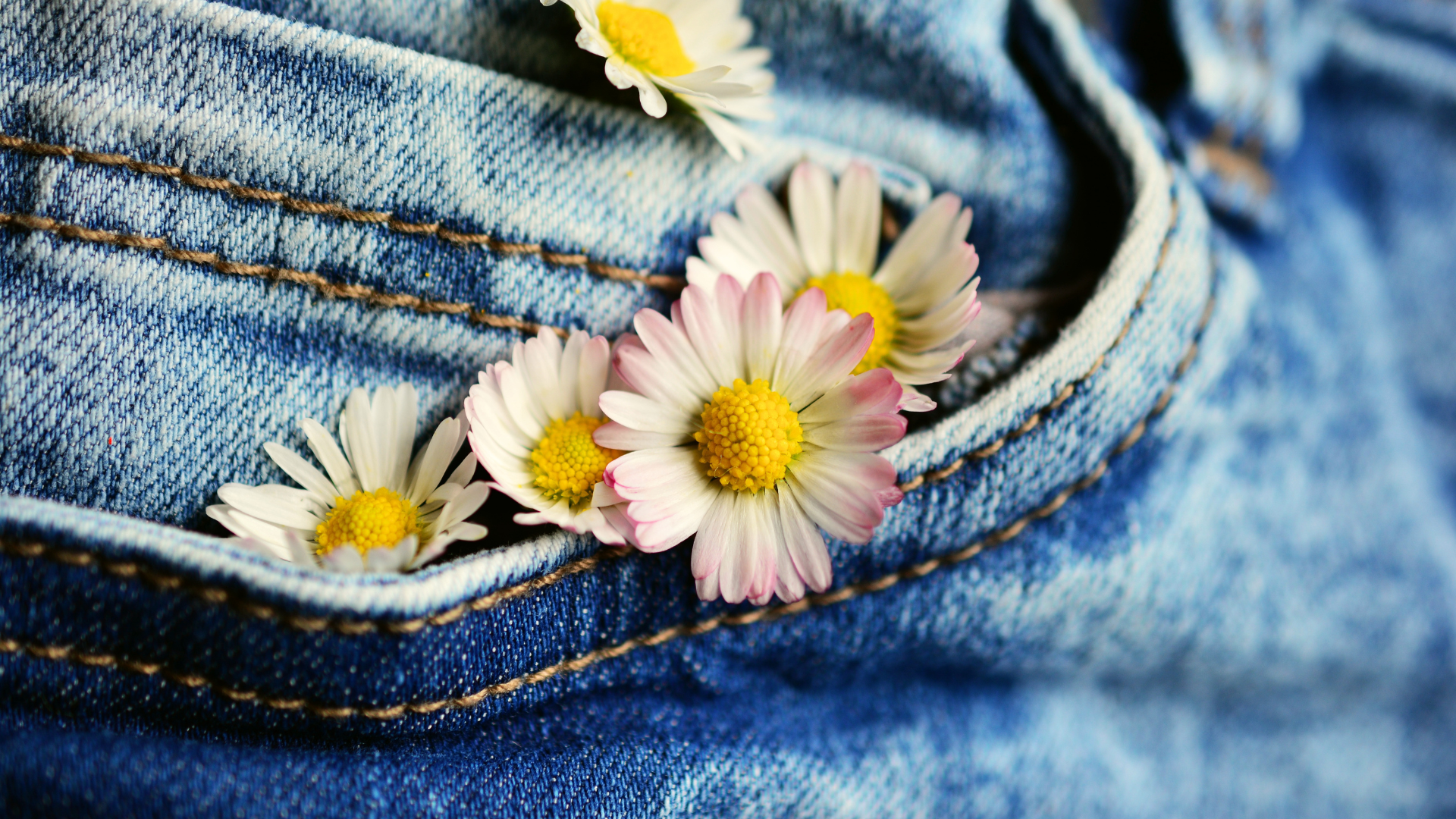 Immagine jeans con fiori 